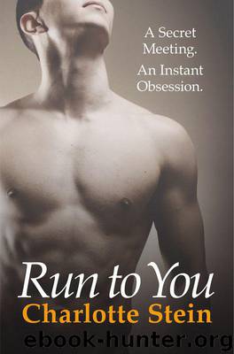 Run To You by Stein Charlotte