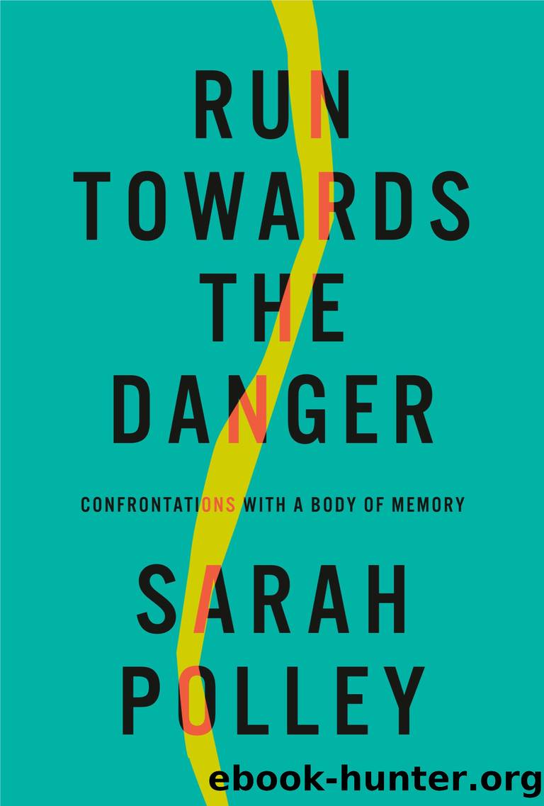 Run Towards the Danger by Sarah Polley