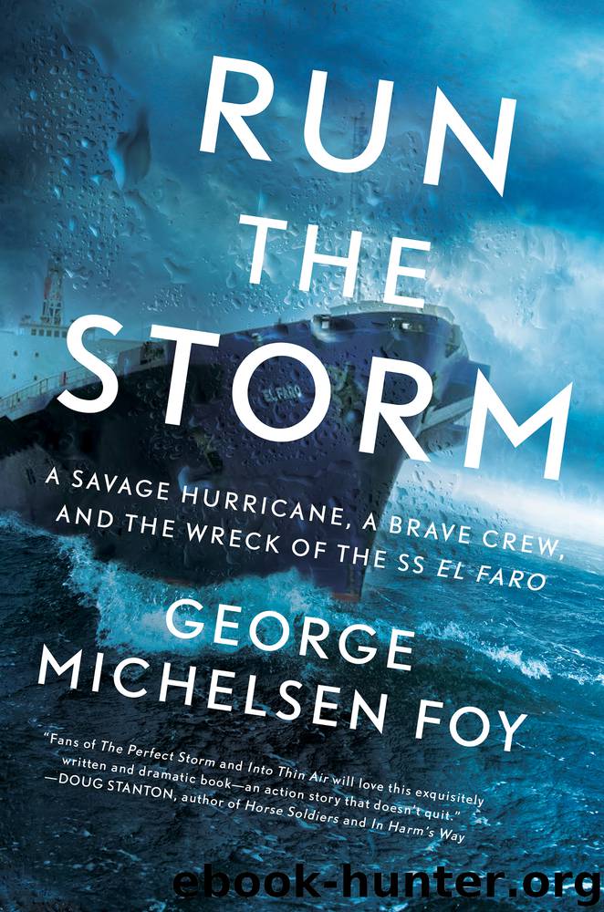 Run the Storm by George Michelsen Foy