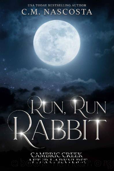 Run, Run Rabbit (Cambric Creek After Darkverse Book 1) by C.M. Nascosta