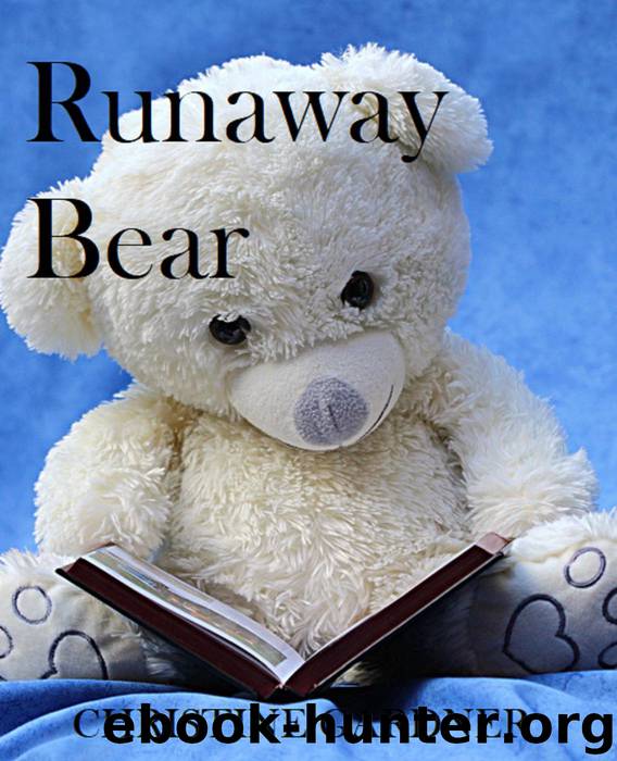 Runaway Bear by Christine Gardner