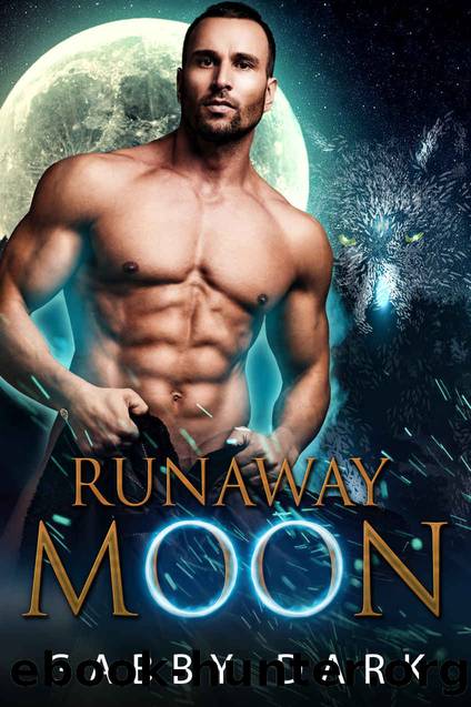 Runaway Moon: Standalone Paranormal Wolf Shifter Fantasy Romance by Gabby Dark