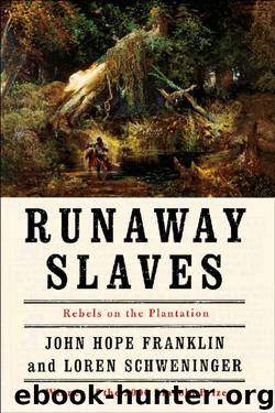 Runaway Slaves: Rebels on the Plantation by John Hope Franklin & Loren Schweninger