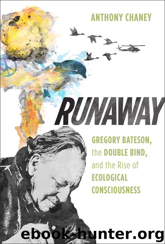 Runaway by Chaney Anthony;