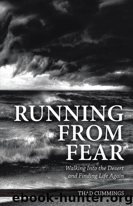 Running From Fear by Thad Cummings
