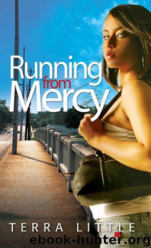 Running From Mercy by Terra Little