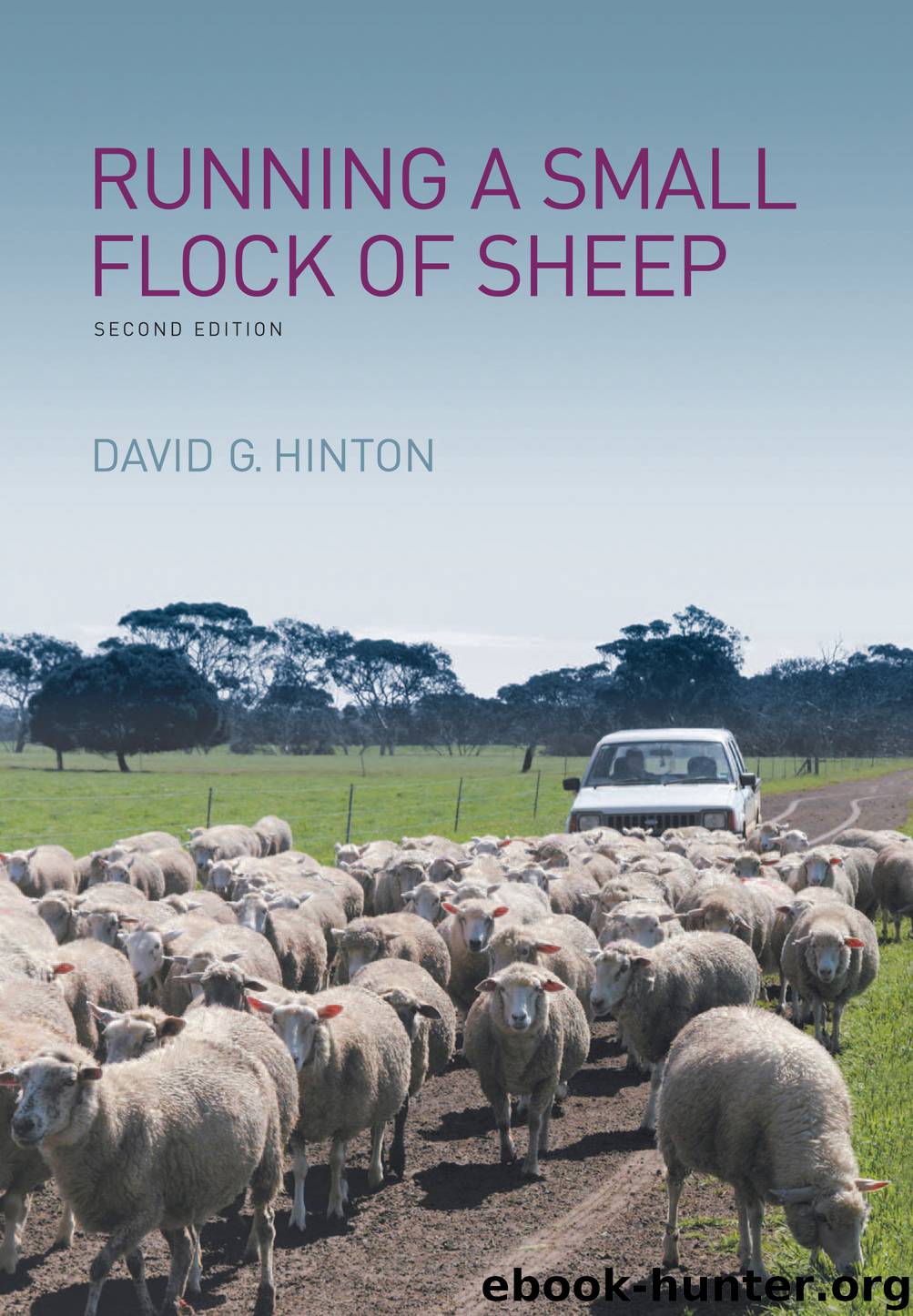 Running a Small Flock of Sheep by David G Hinton