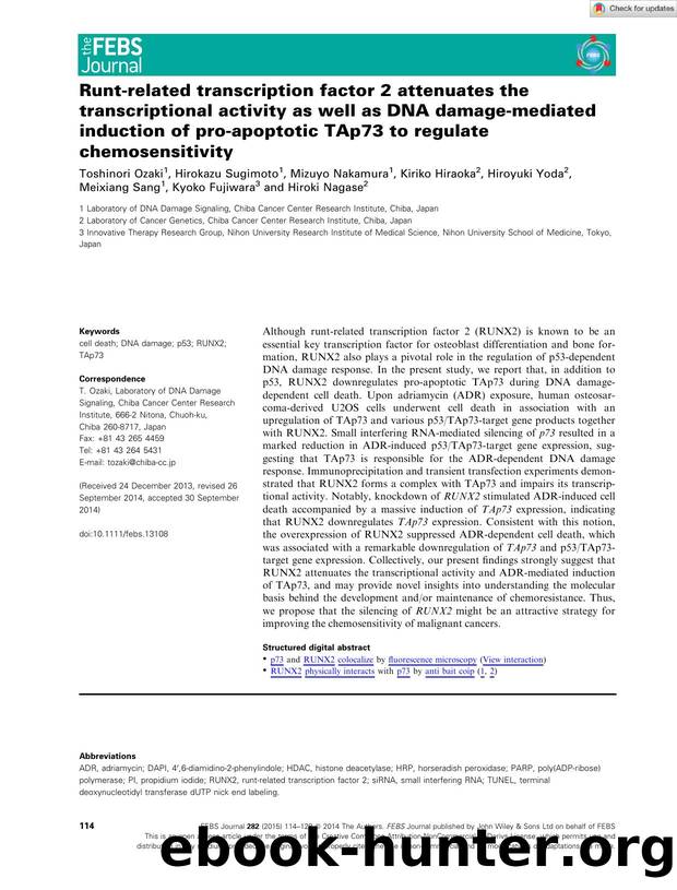 Runtârelated transcription factor 2 attenuates the transcriptional activity as well as DNA damageâmediated induction of proâapoptotic TAp73 to regulate chemosensitivity by Unknown