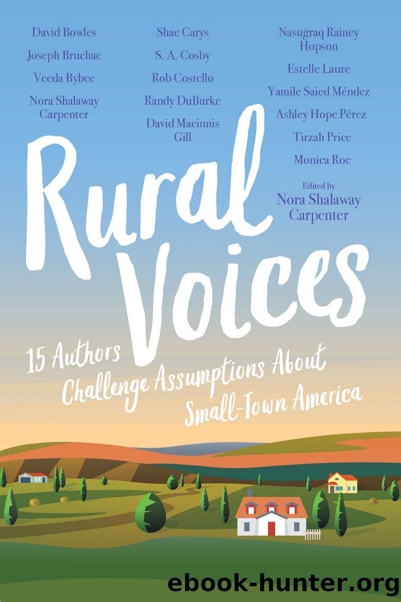 Rural Voices by Rural Voices- 15 Authors Challenge Assumptions About Small-Town America (retail) (epub)