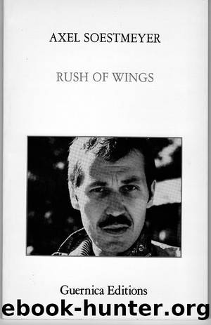 Rush Of Wings by Axel Soestmeyer