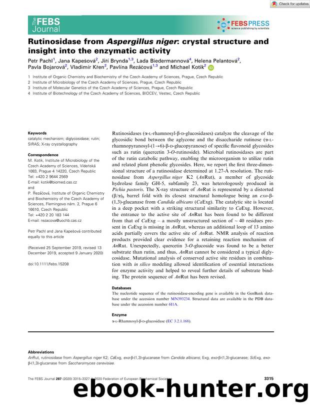 Rutinosidase from Aspergillus niger: crystal structure and insight into the enzymatic activity by Unknown