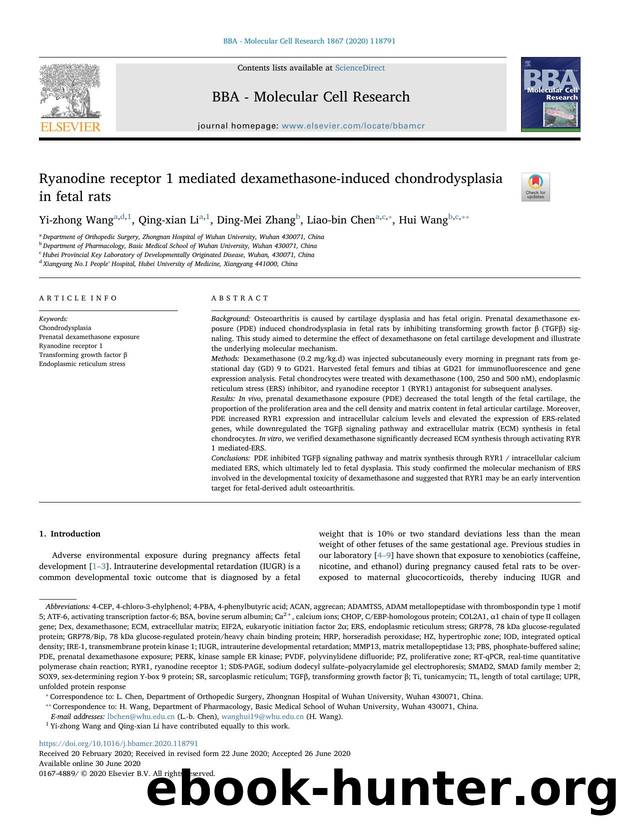 Ryanodine receptor 1 mediated dexamethasone-induced chondrodysplasia in fetal rats by Yi-zhong Wang & Qing-xian Li & Ding-Mei Zhang & Liao-bin Chen & Hui Wang