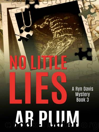 Ryn Davis Mystery 03-No Little Lies by Plum AB