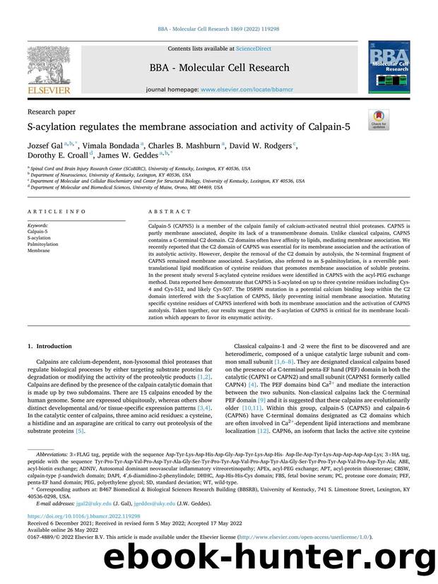 S-acylation regulates the membrane association and activity of Calpain-5 by unknow