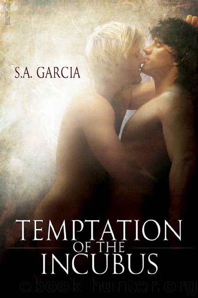 S.A. Garcia - Temptation Of The Incubus by S.A. Garcia