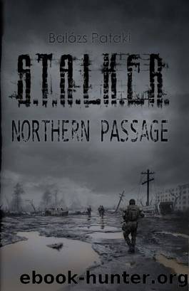 S.T.A.L.K.E.R.: Northern Passage s-2 by Balázs Pataki