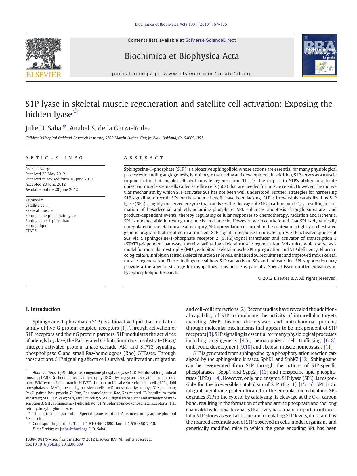 S1P lyase in skeletal muscle regeneration and satellite cell activation: Exposing the hidden lyase by Julie D. Saba & Anabel S. de la Garza-Rodea