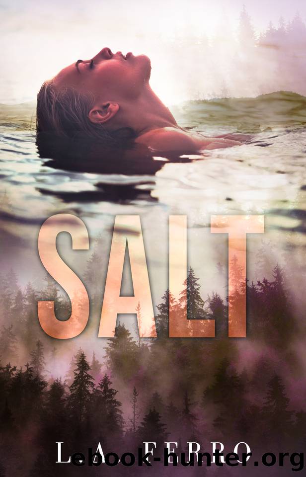 SALT: Age Gap (Summer Nights) by L.A. Ferro