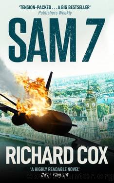 SAM 7 by Richard Cox