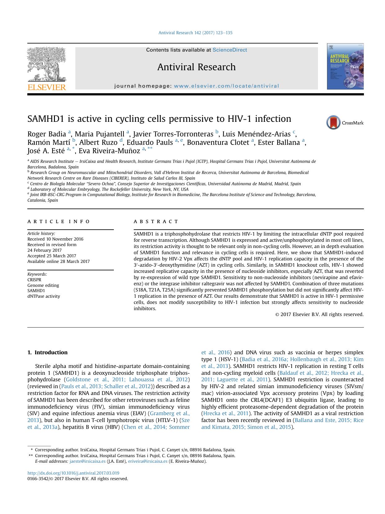 SAMHD1 is active in cycling cells permissive to HIV-1 infection by unknow