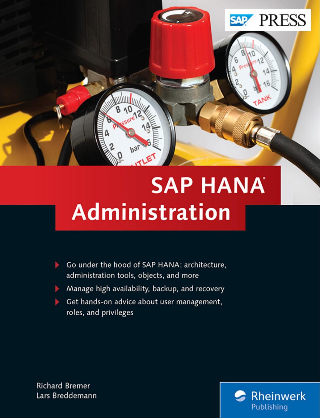 SAP BW: Administration and Performance Optimization, SAP Business Warehouse by Joe Darlak Jesper Christensen