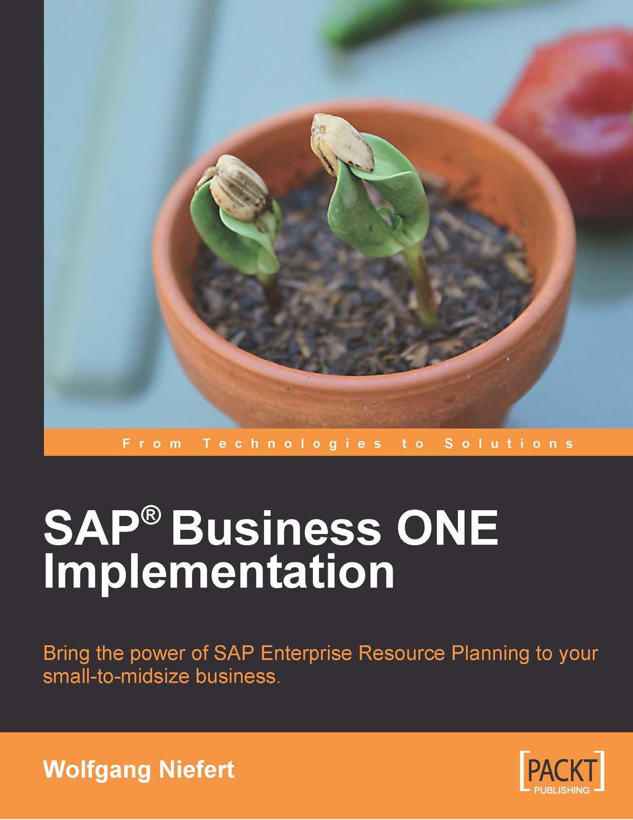 SAP Business ONE Implementation by Wolfgang Niefert