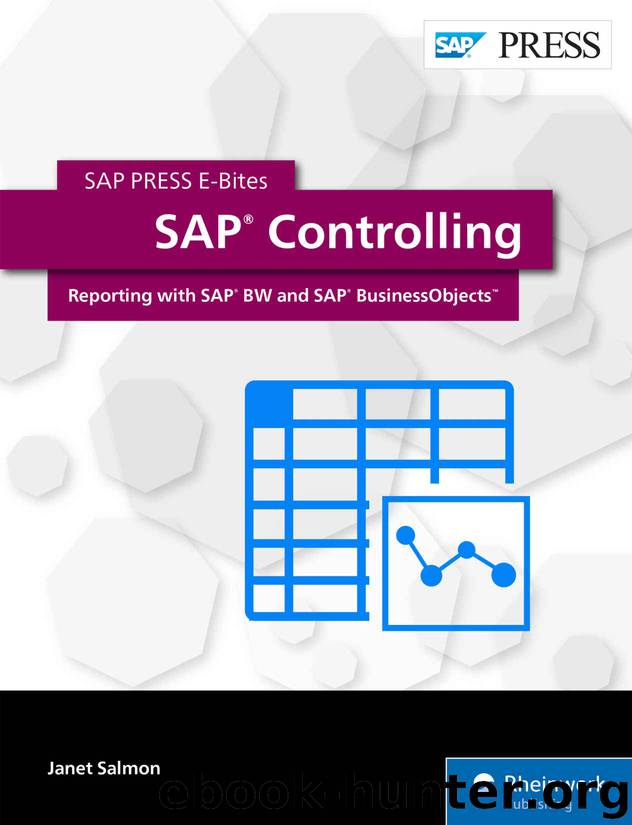 SAP Controlling: Reporting with SAP BW and SAP BusinessObjects (SAP PRESS E-Bites Book 45) by Janet Salmon