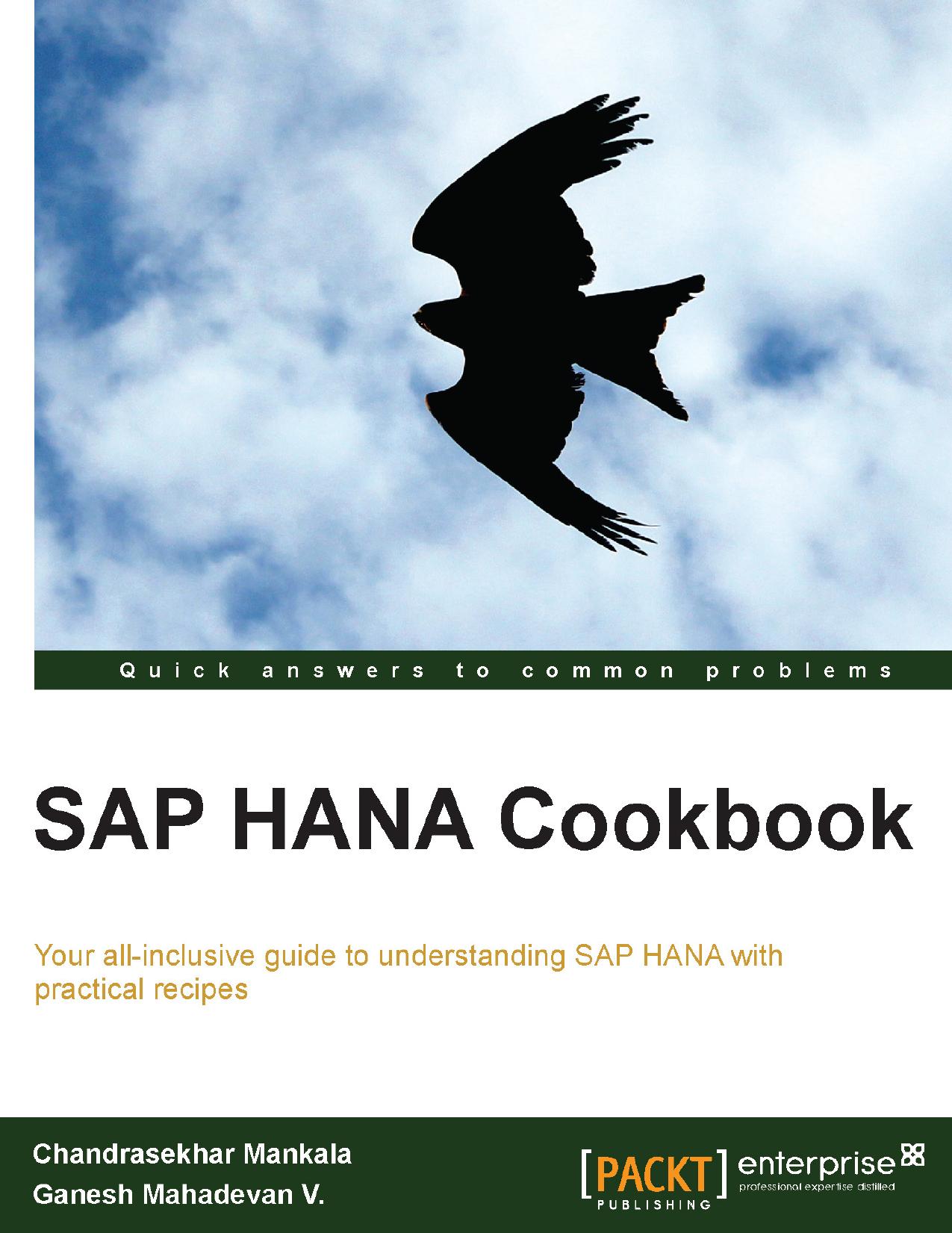 SAP HANA Cookbook by Unknow