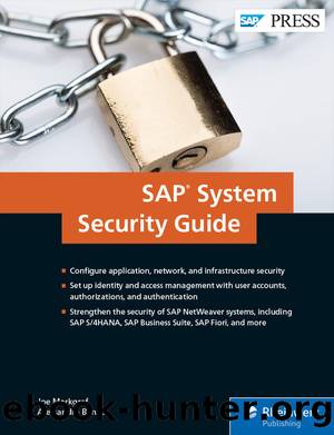 SAP System Security by Joe Markgraf