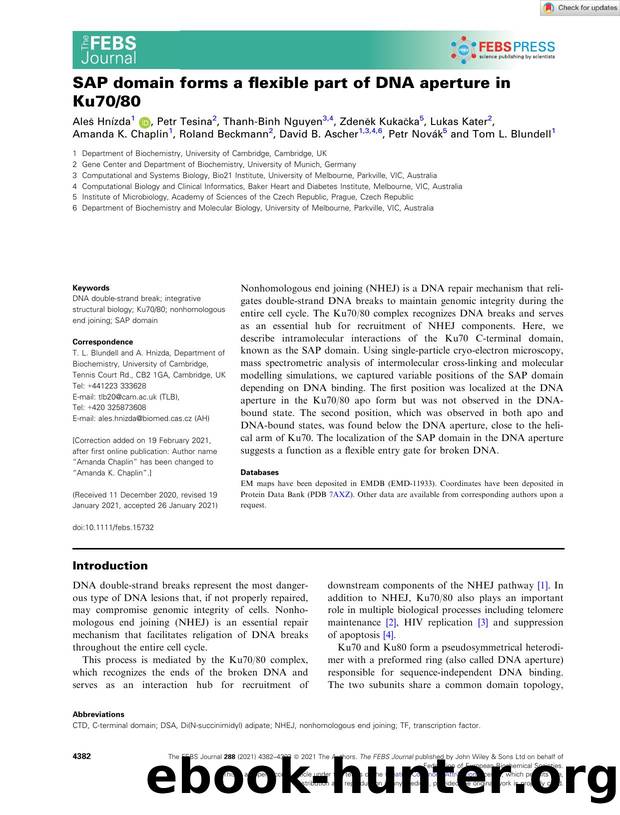 SAP domain forms a flexible part of DNA aperture in Ku7080 by Unknown