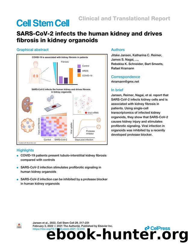 SARS-CoV-2 infects the human kidney and drives fibrosis in kidney organoids by unknow