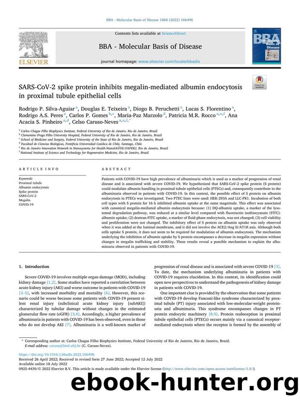 SARS-CoV-2 spike protein inhibits megalin-mediated albumin endocytosis in proximal tubule epithelial cells by unknow