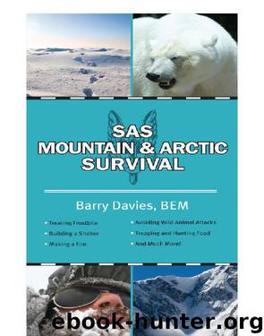 SAS Mountain and Arctic Survival by Barry Davies