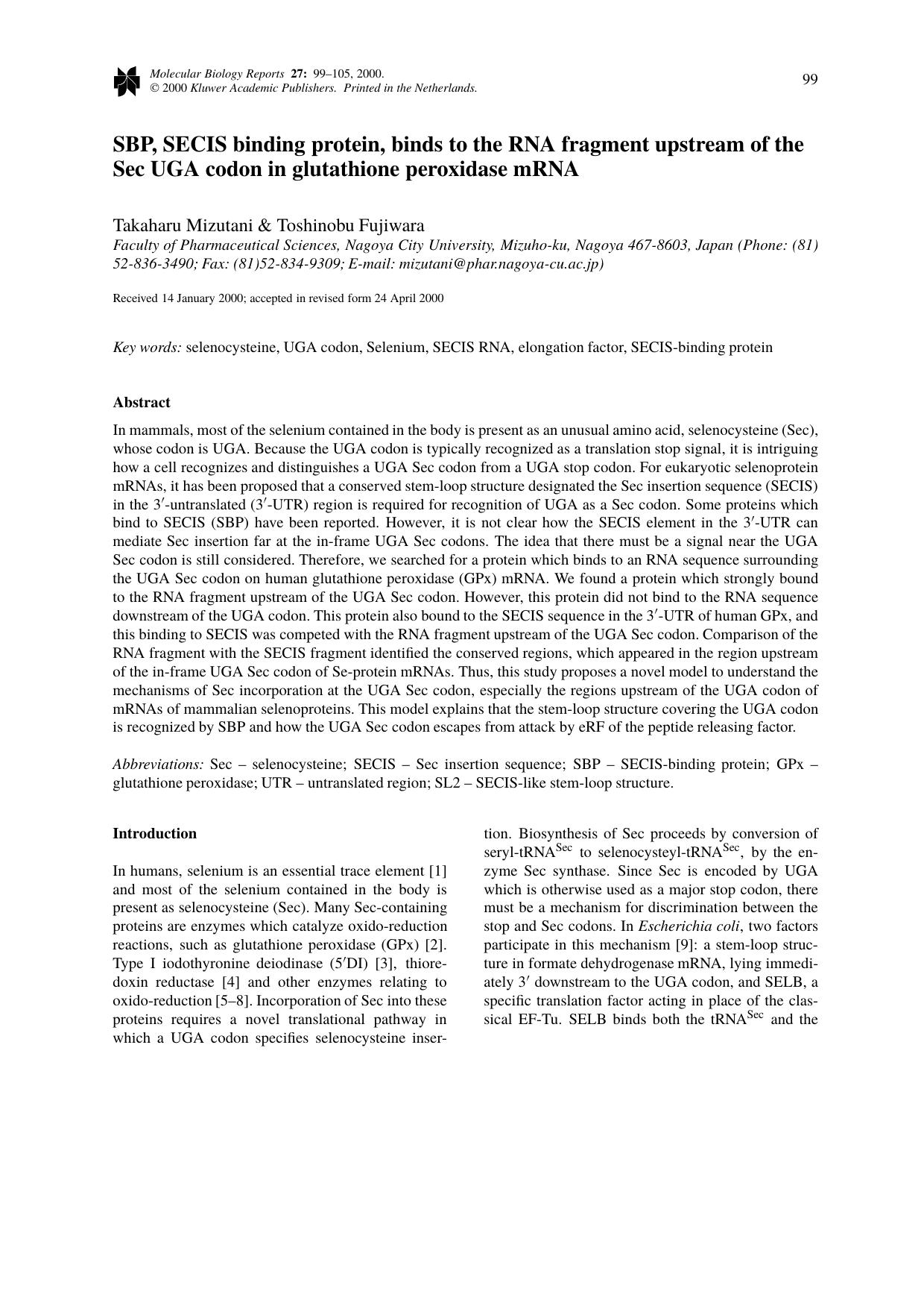 SBP, SECIS binding protein, binds to the RNA fragment upstream of the Sec UGA codon in glutathione peroxidase mRNA by Unknown