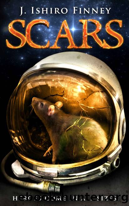 SCARS: Heroes come in all sizes. by J. Ishiro Finney
