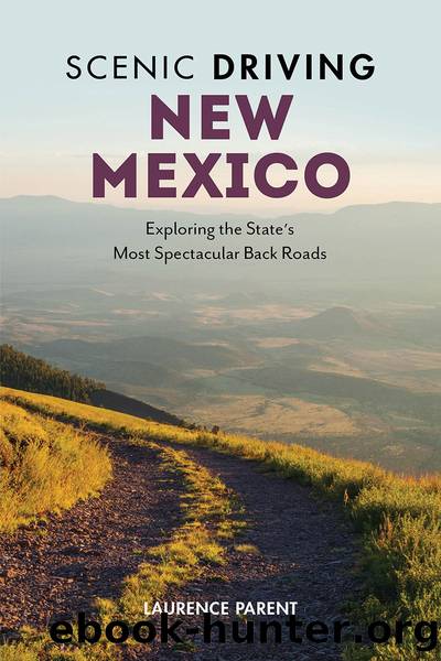 SCENIC DRIVING NEW MEXICO by LAURENCE PARENT