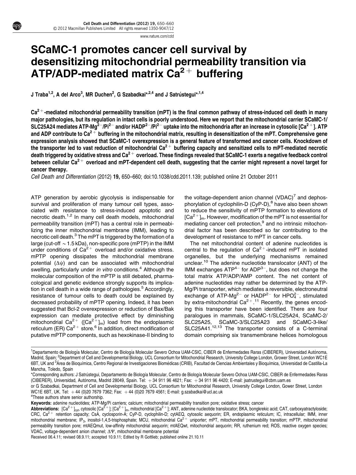 SCaMC-1 promotes cancer cell survival by desensitizing mitochondrial permeability transition via ATP&sol;ADP-mediated matrix Ca2&plus; buffering by J Traba & A del Arco & M R Duchen & G Szabadkai & J Satr&&uacute;stegui