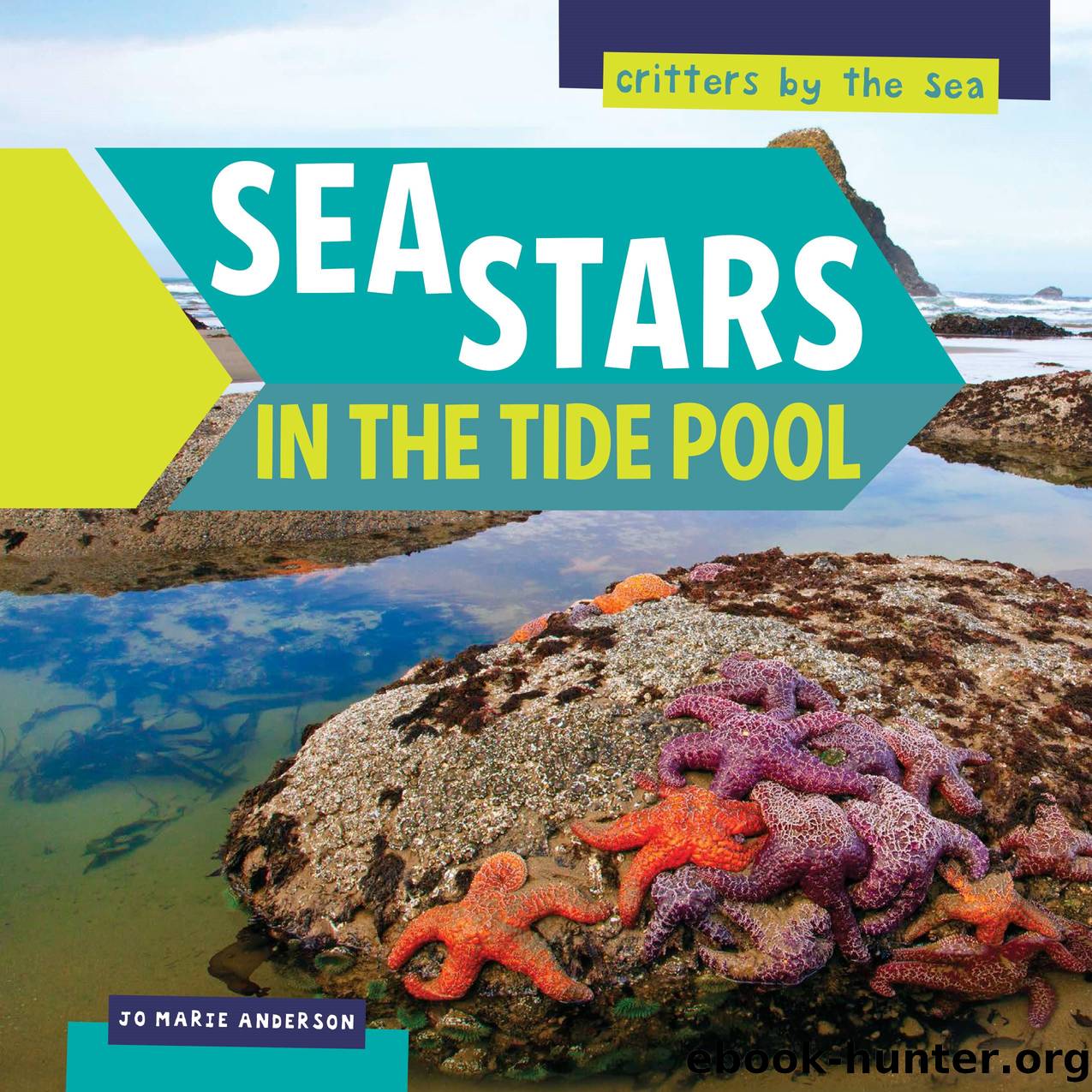 SEA STARS IN THE TIDE POOL by JO MARIE ANDERSON