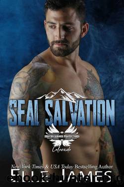 SEAL SALVATION (Brotherhood Protectors Colorado Book 1) by Elle James