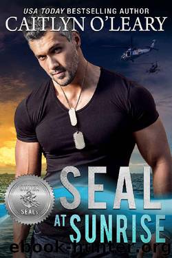 SEAL at Sunrise (Silver SEALs Book 12) by Caitlyn O'Leary & Suspense Sisters