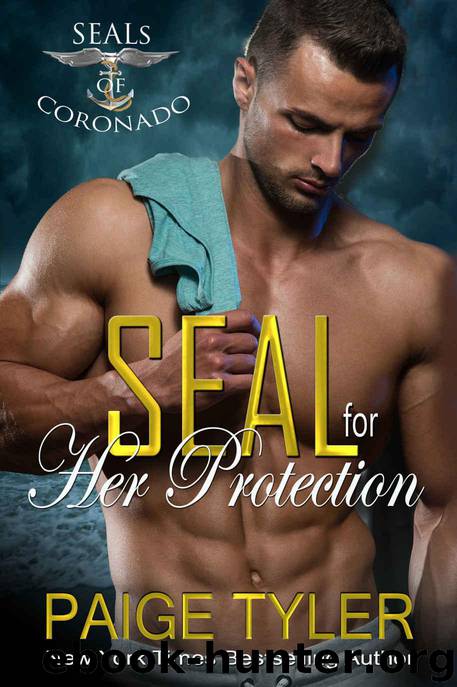 SEAL for Her Protection by Paige Tyler