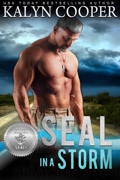 SEAL in a Storm by KaLyn Cooper