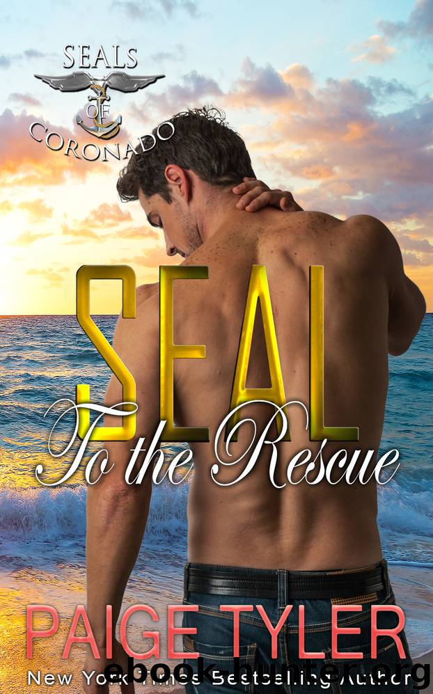 SEAL to the Rescue by Paige Tyler