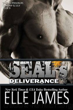 SEAL's Deliverance (Take No Prisoners Book 9) by Elle James