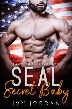 SEAL's Secret Baby (A Navy SEAL Romance) by Ivy Jordan