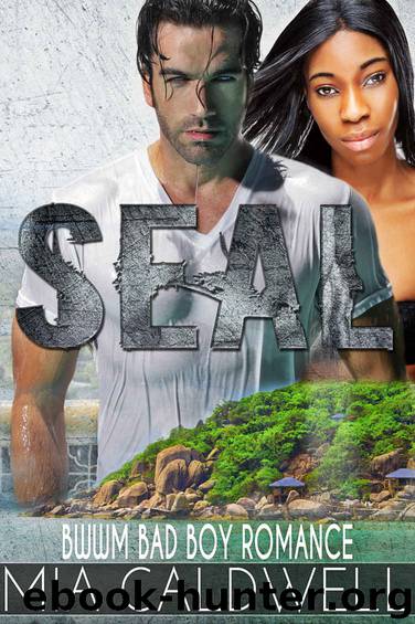 SEAL: A BWWM BAD BOY NAVY SEAL ROMANCE by Mia Caldwell