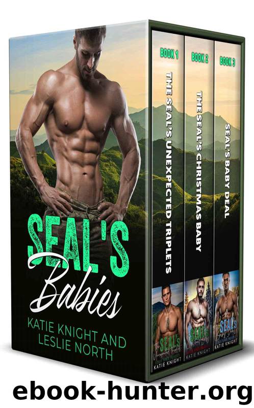 SEAL’s Babies by Knight Katie & North Leslie