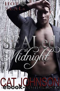 SEALed at Midnight by Cat Johnson