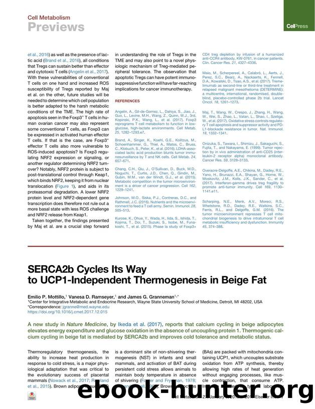 SERCA2b Cycles Its Way to UCP1-Independent Thermogenesis in Beige Fat by Emilio P. Mottillo & Vanesa D. Ramseyer & James G. Granneman