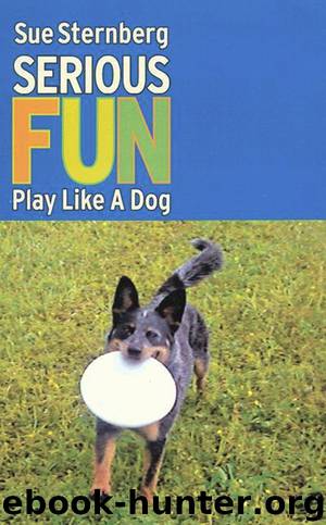 SERIOUS FUN by Sue Sternberg